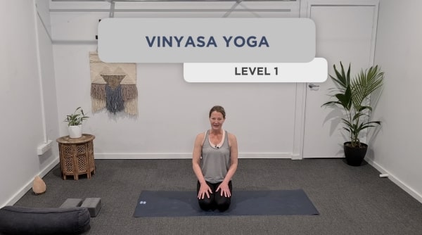 Vinyasa Yoga Level 1