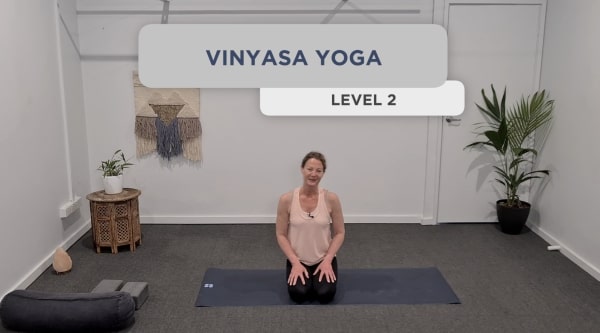 Vinyasa Yoga Level 2