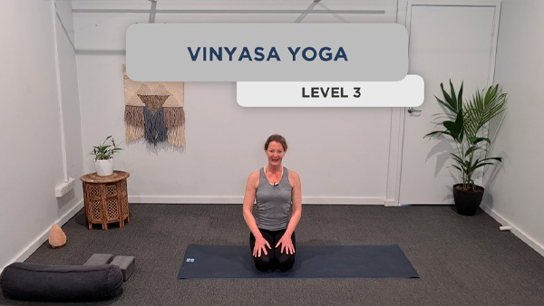 Vinyasa Yoga Level 3